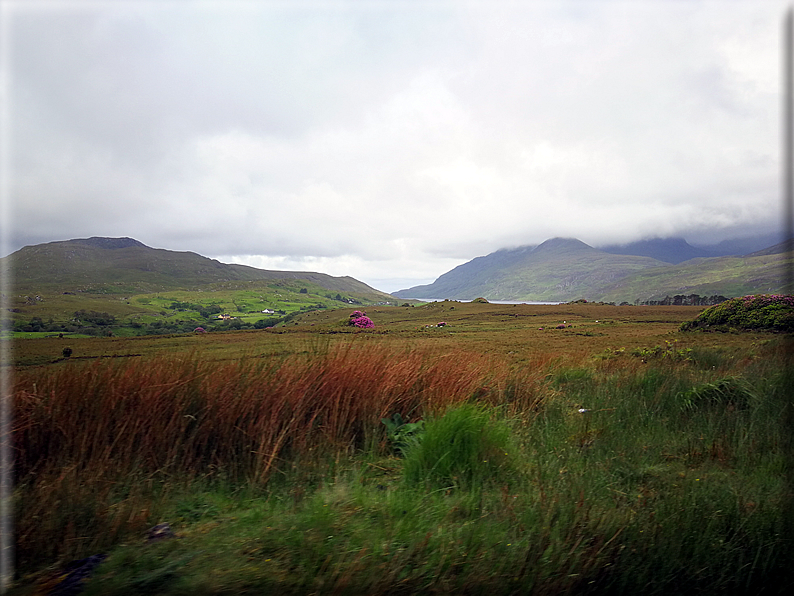 foto Parco nazionale di Connemara